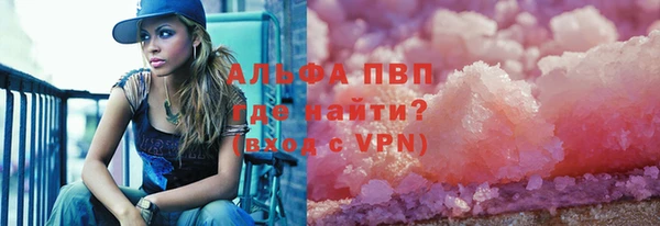 PSILOCYBIN Балахна
