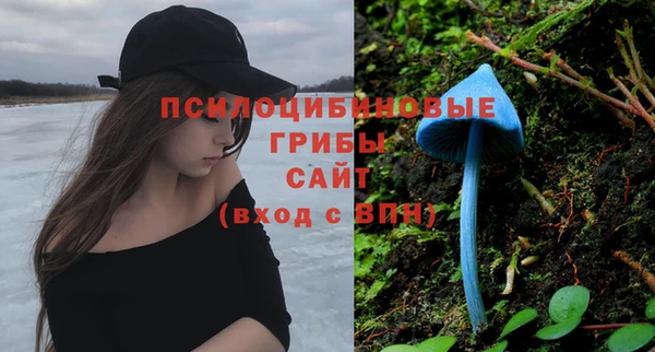 трава Белоозёрский